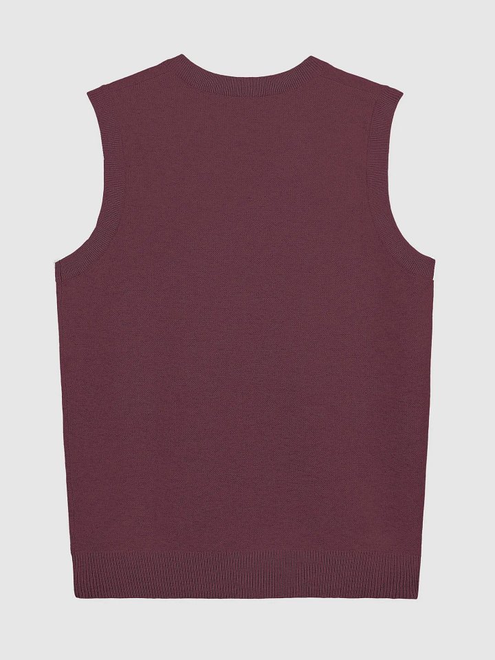 BUSY-BRAINED (maroon and white) knitwear vest product image (10)