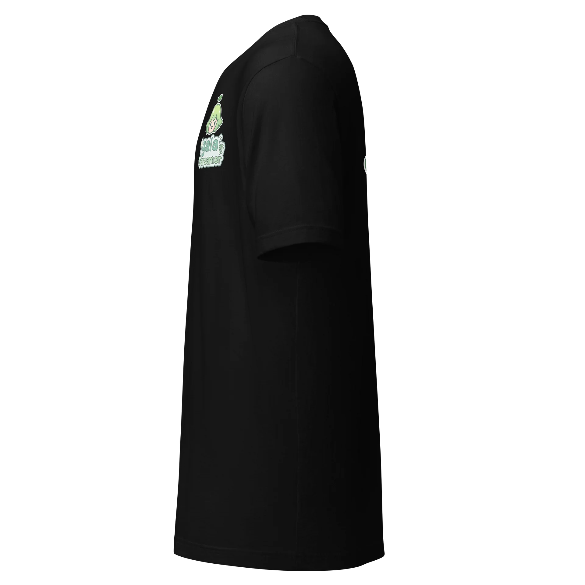 Gaiastreamer product image (2)