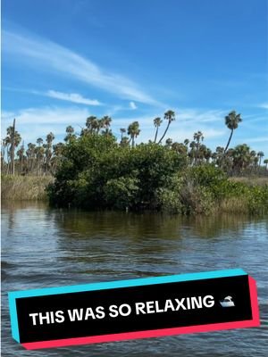 Relax with me #BoatTok #Boating #FloridaLife #ocean #river 