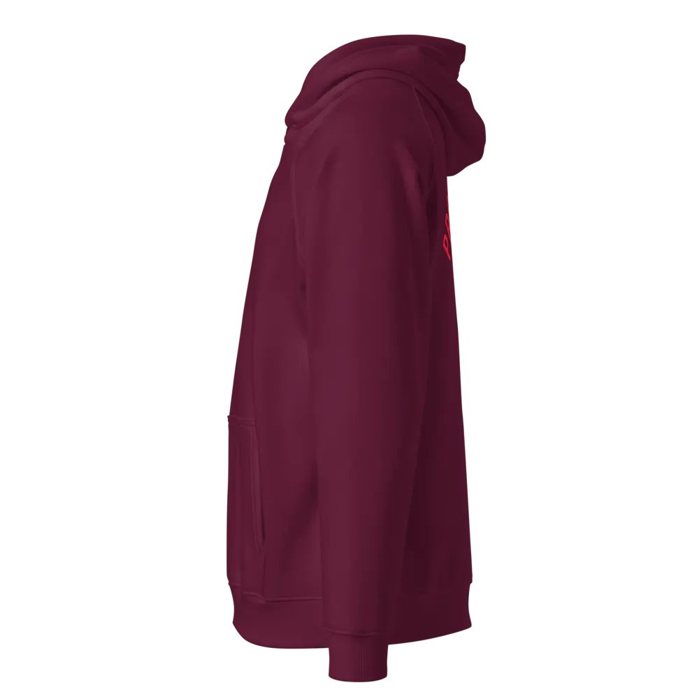 Prospect Park Plum hoodie with dog embroidery on chest product image (4)