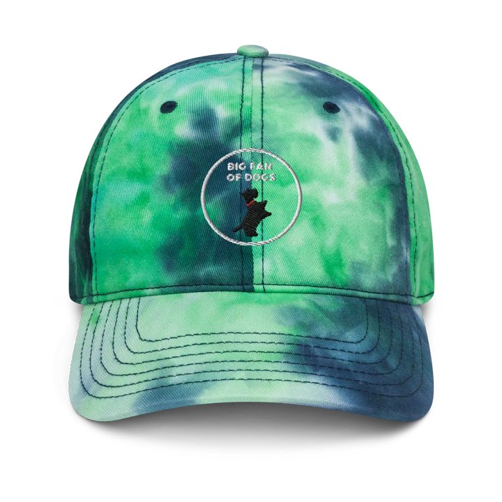 big fan of dogs (hat) product image (1)