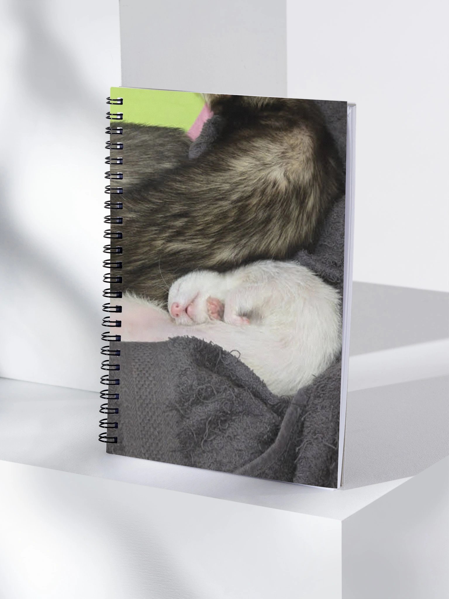 Cici Notebook product image (4)