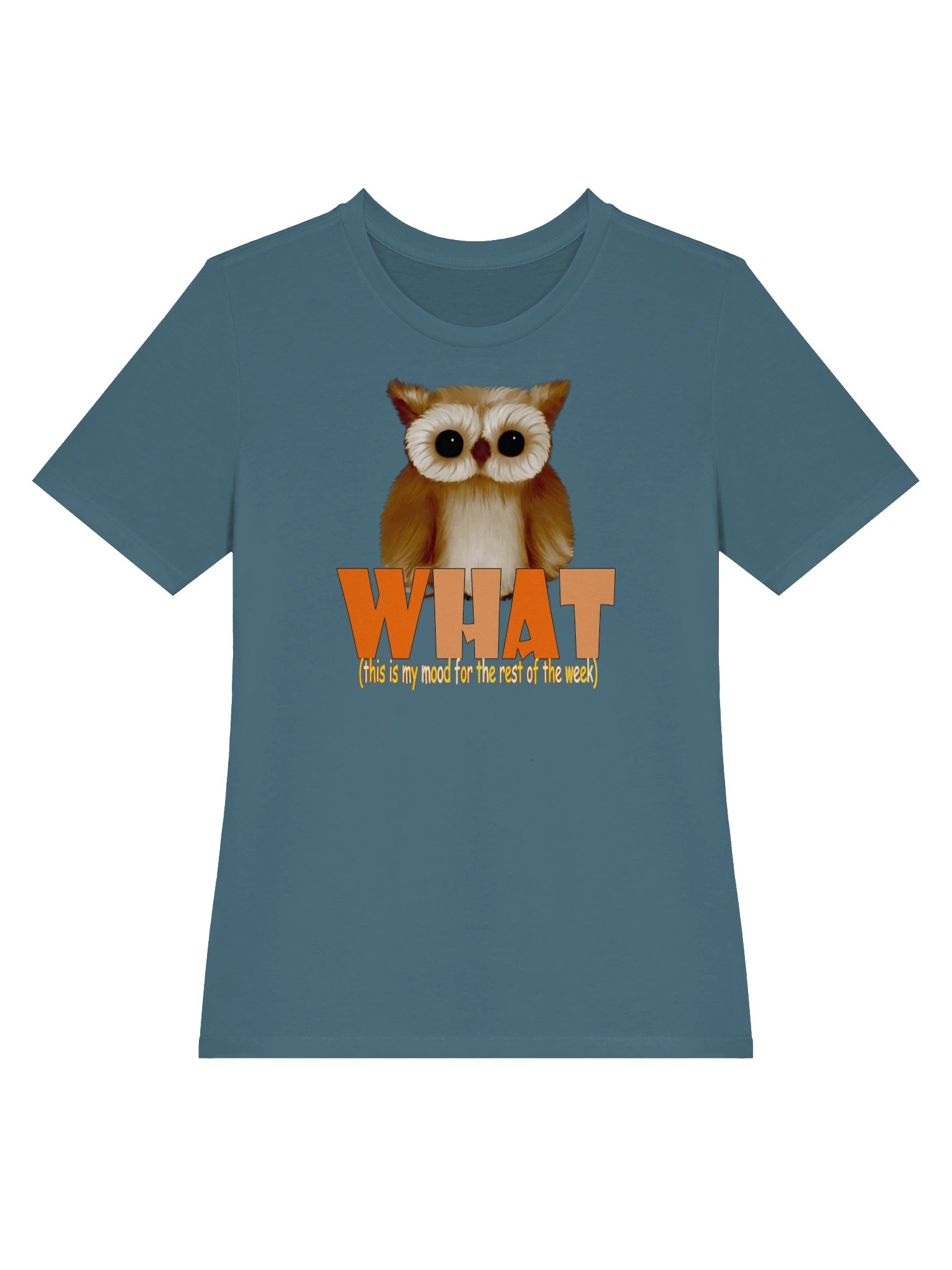 Owl "WHAT" T-Shirt. Women's Bella+Canvas Supersoft Relaxed-fit T-Shirt product image (2)