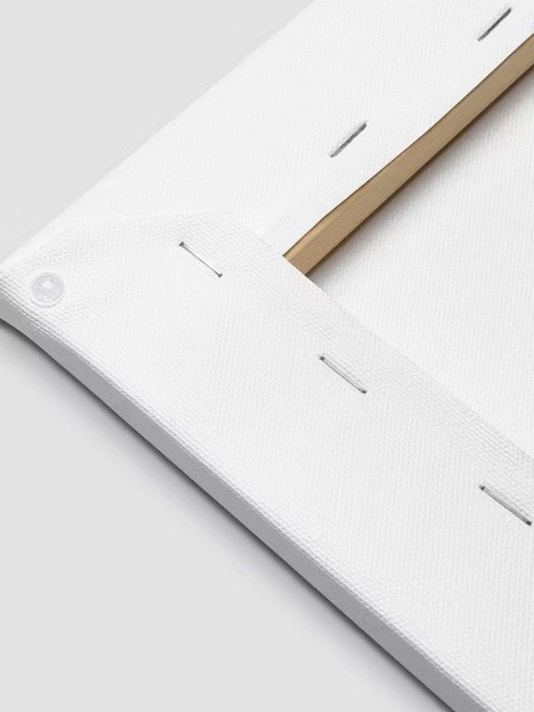 CANVAS: A Guiding Light product image (3)