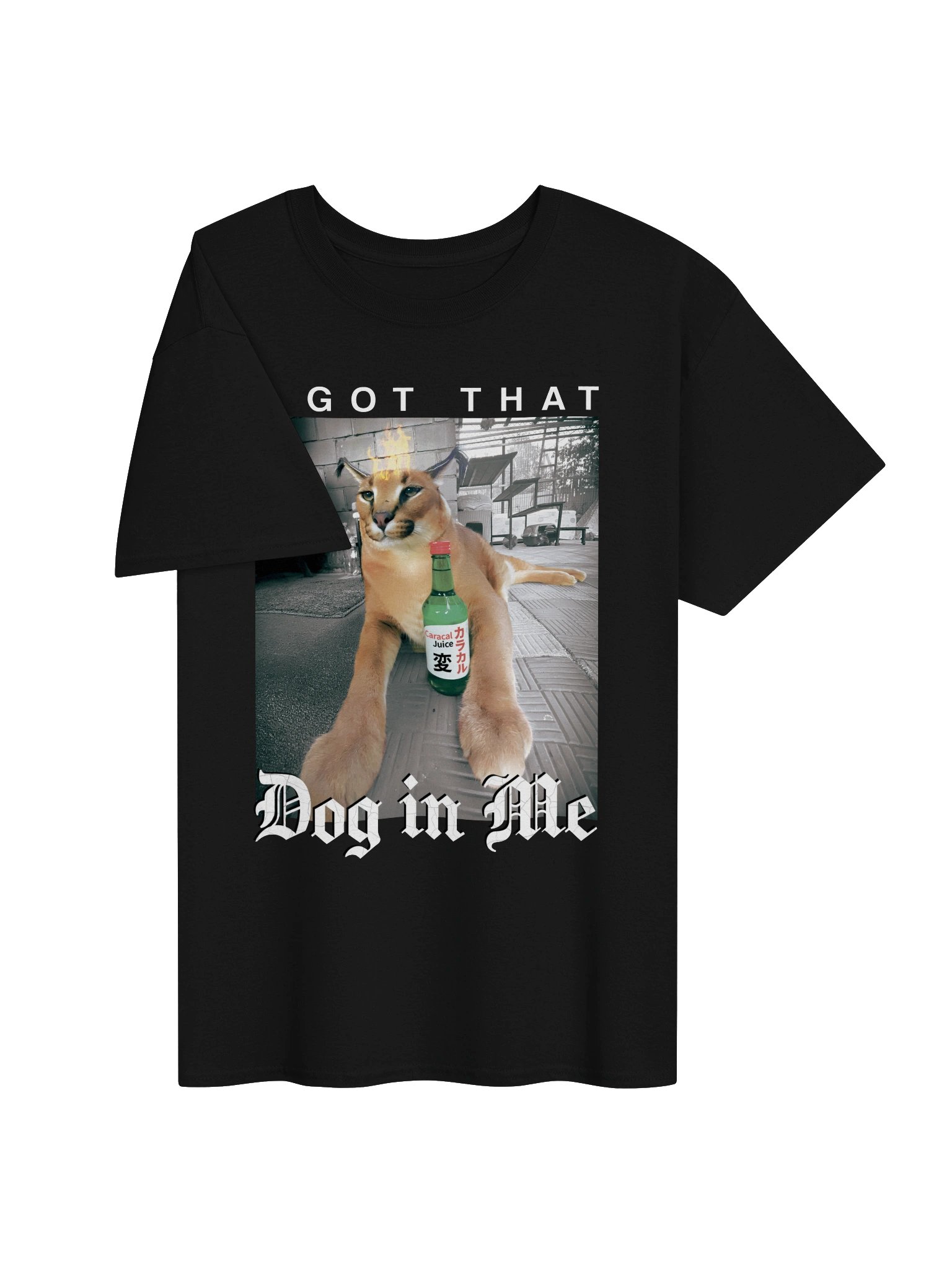"I GOT THAT DOG IN ME" Classic T-Shirt product image (3)