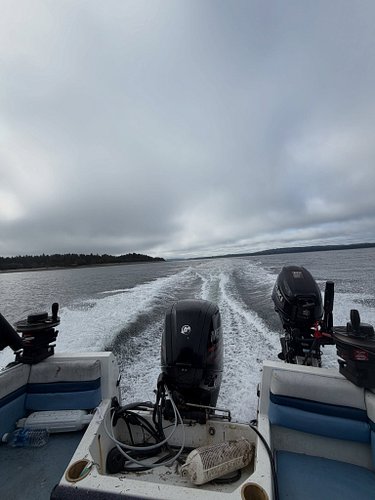 Time to go fishing! 🎣 🌊