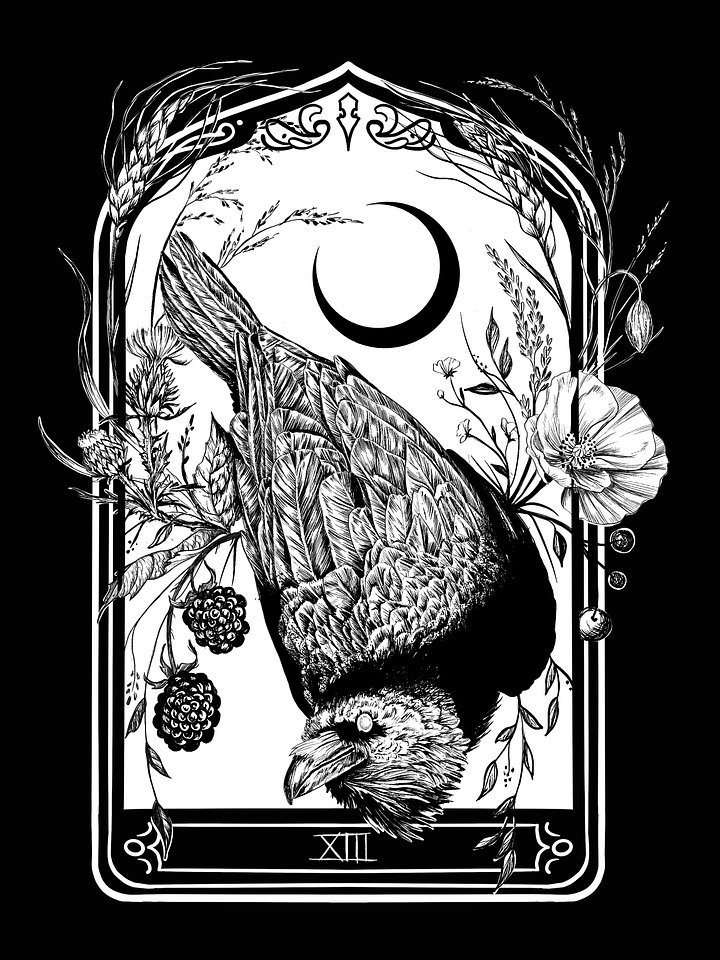 Mystic Raven Hoodie product image (3)