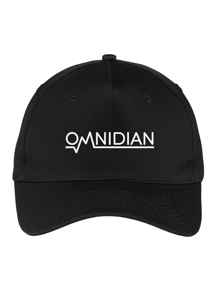 Omnidian - Hats product image (1)
