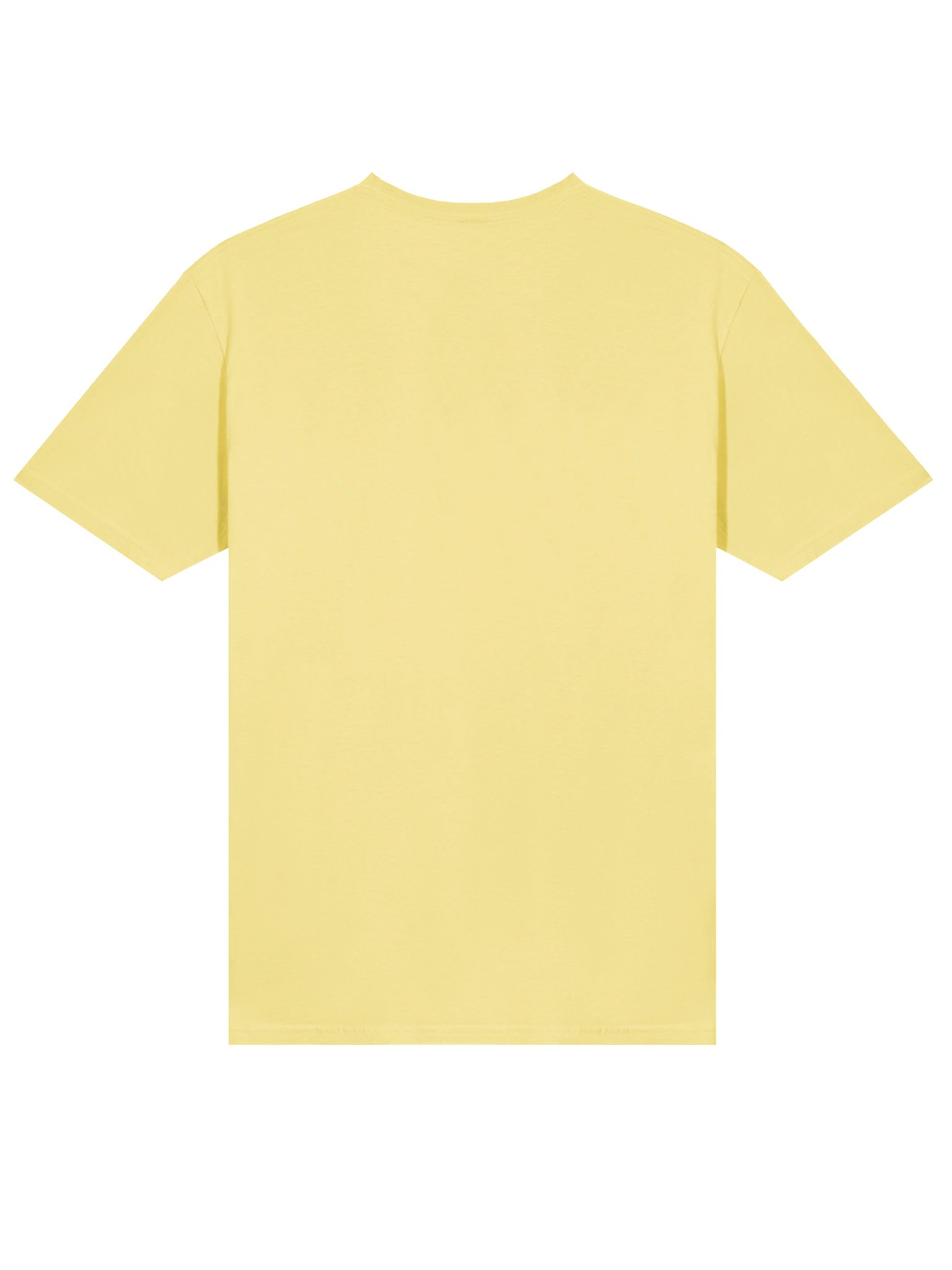 ERITREAN MUSIC TIGRINYA Unisex T-Shirt product image (32)