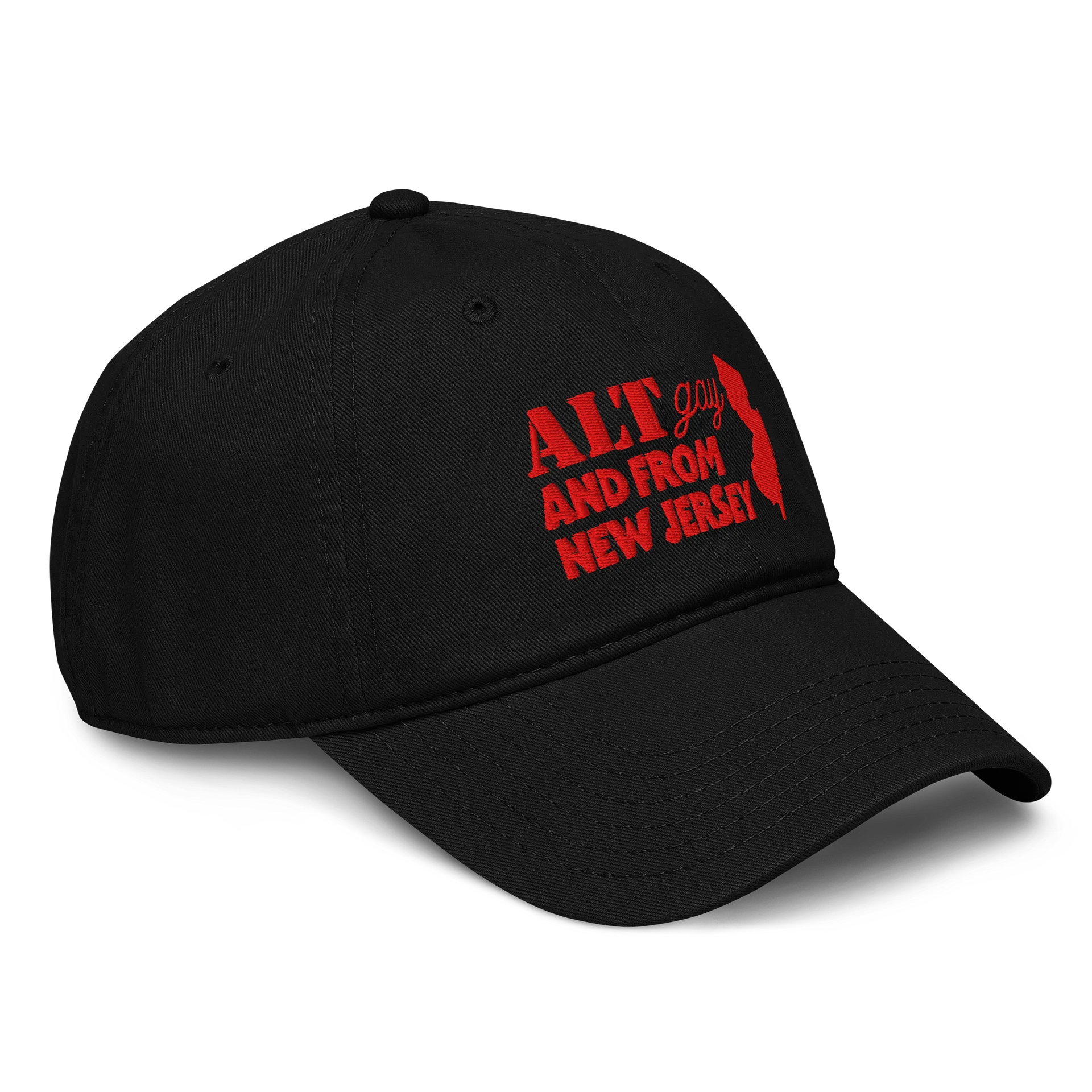 ALT, GAY AND FROM NJ DAD HAT product image (4)