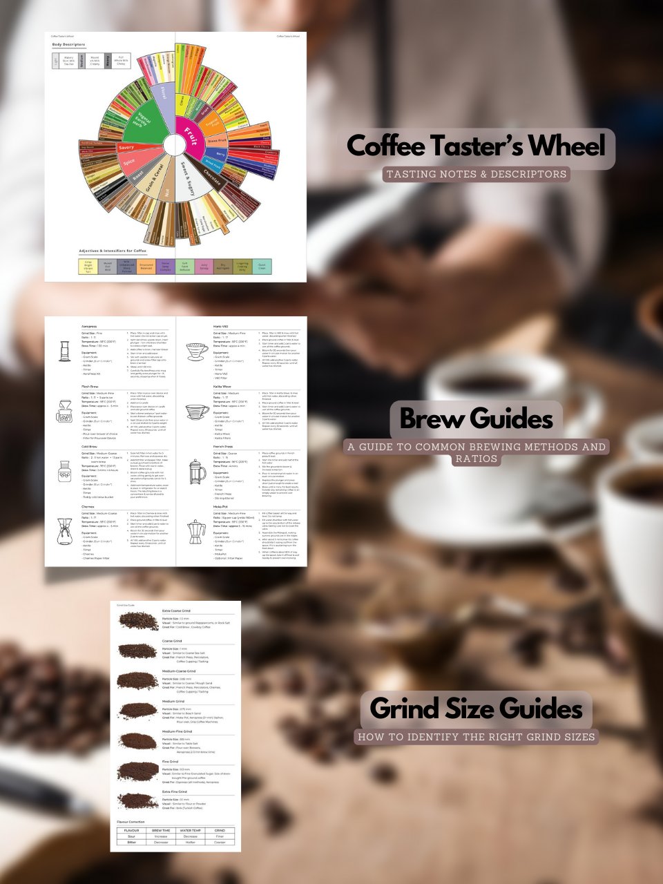 The Coffee Taster's Logbook - TN Standard Size product image (3)