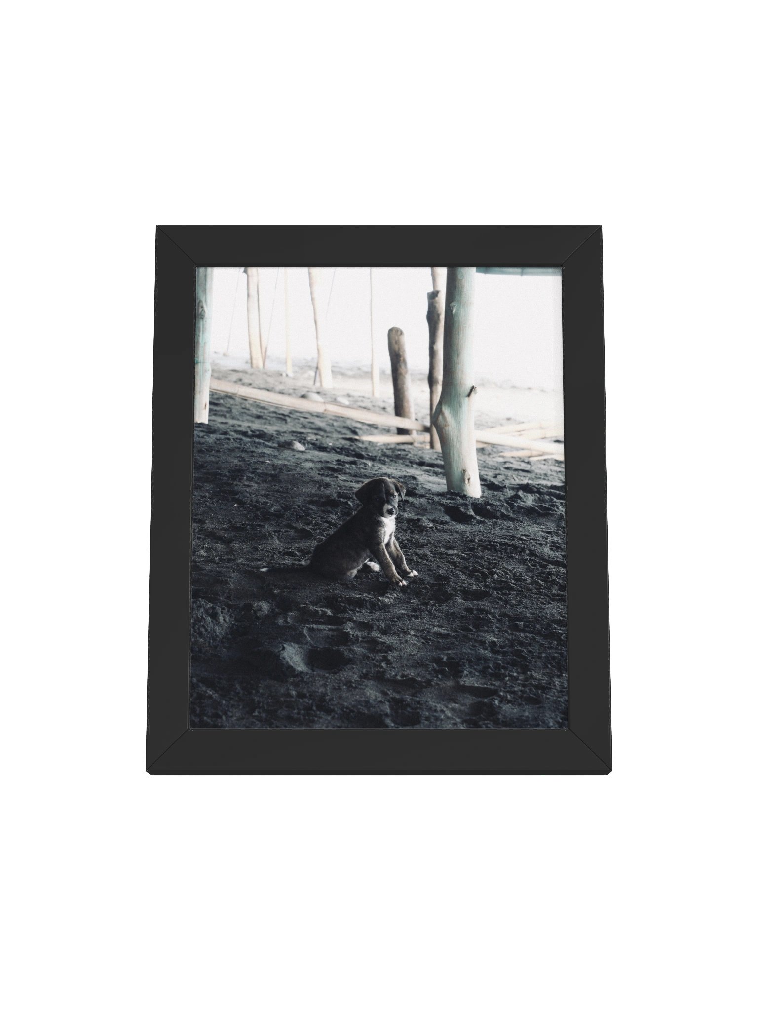 El Salvador Beach Puppy product image (2)