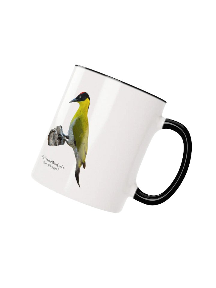Black-headed Woodpecker mug product image (13)