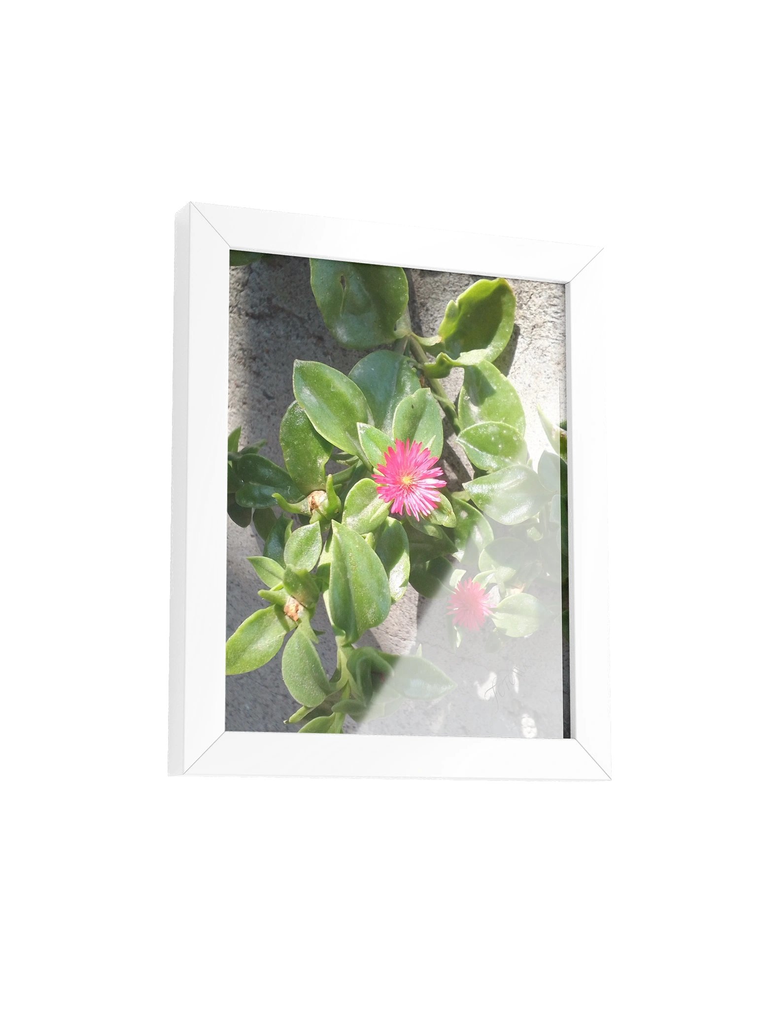 Pinky - Matte Poster product image (3)
