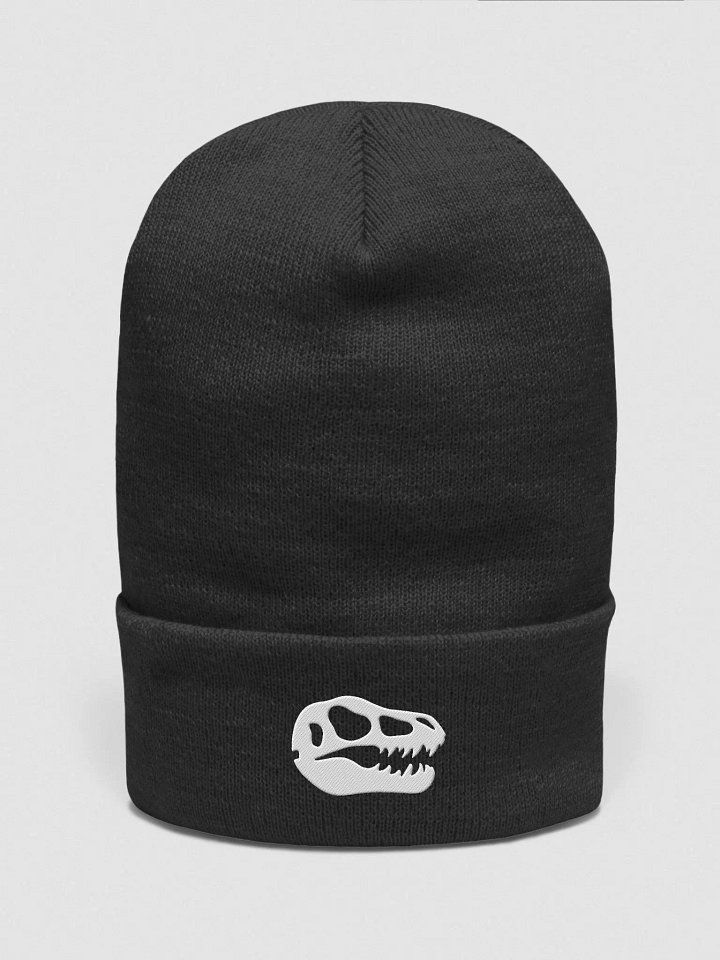 TyyRex Logo Beanie (White) product image (2)