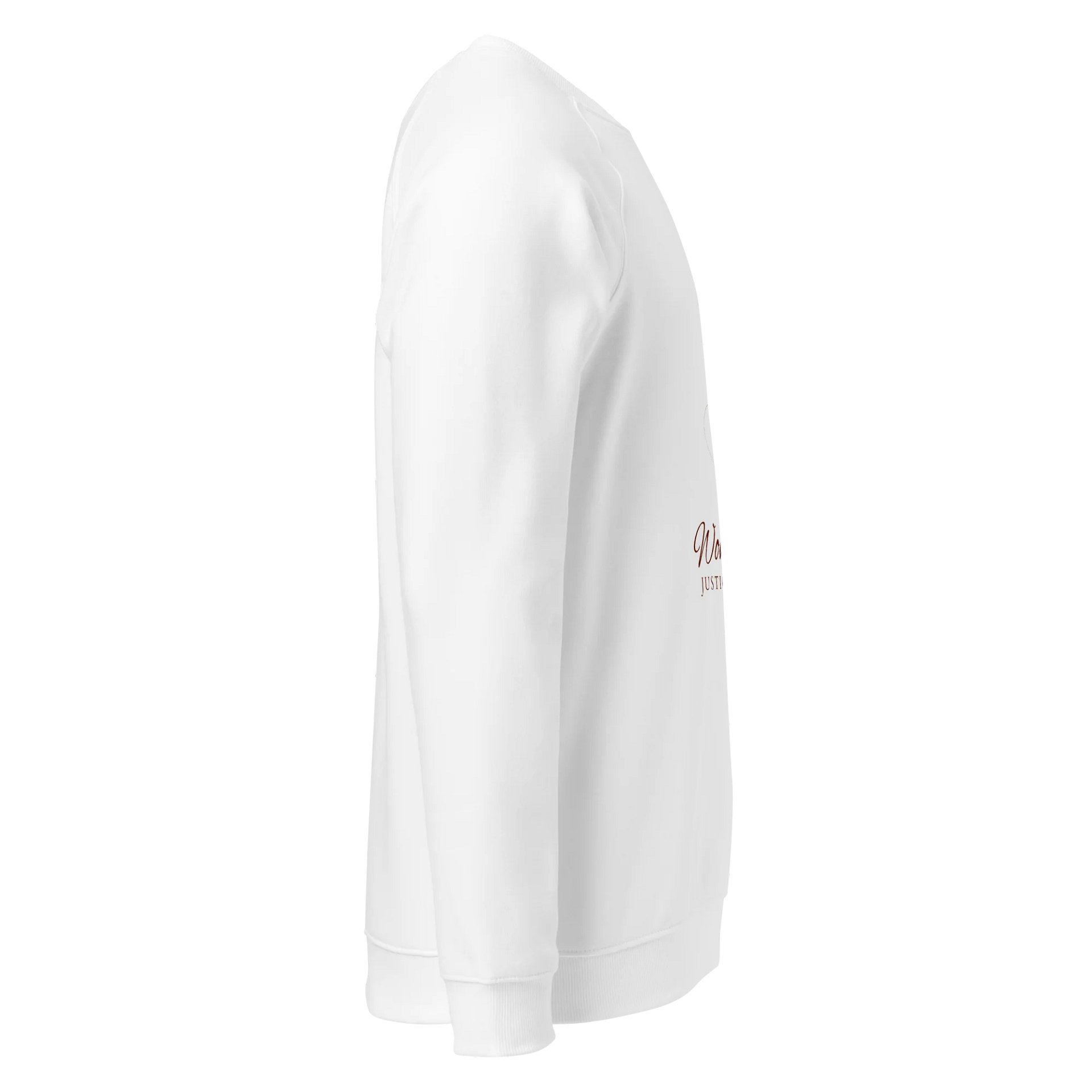 Women's Organic Raglan Sweatshirt ORFB0103 product image (3)