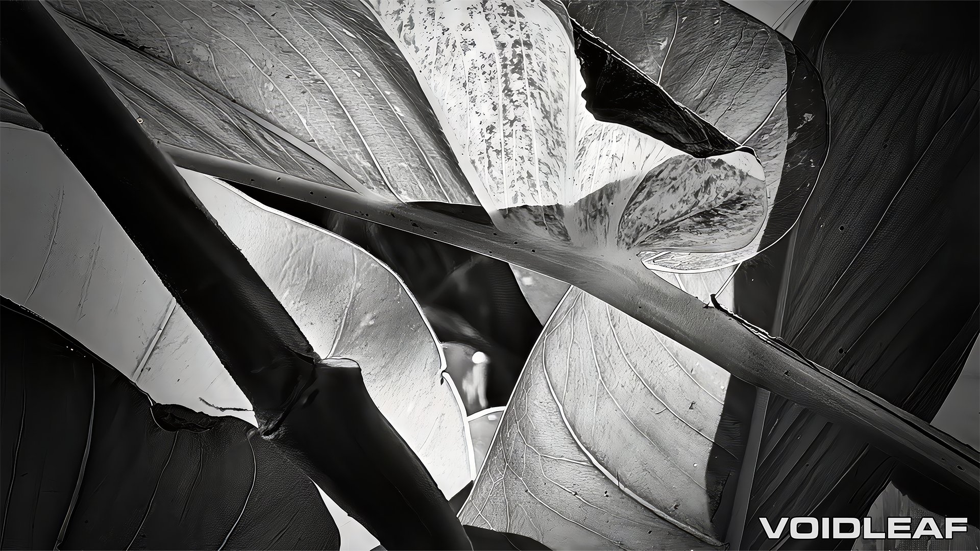 VOIDLEAF Digital Wallpaper - Canopy [Digital Download] product image (1)