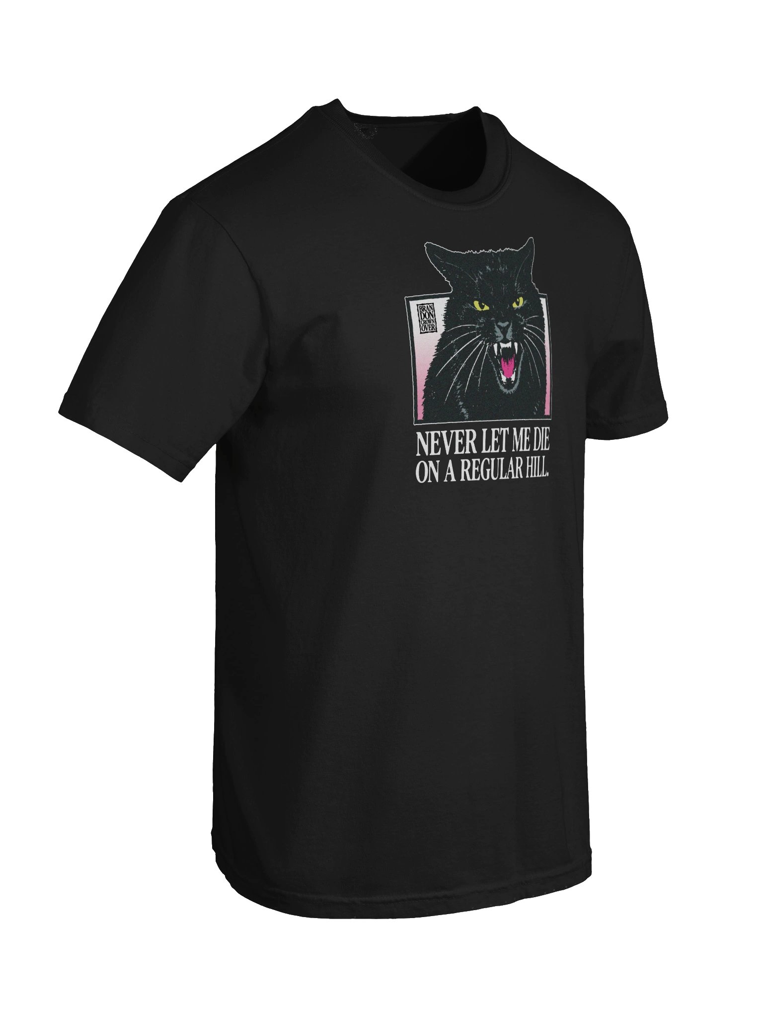 Regular Hill Tee - DARK product image (6)