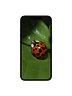 Ladybug Digital Wallpaper Set