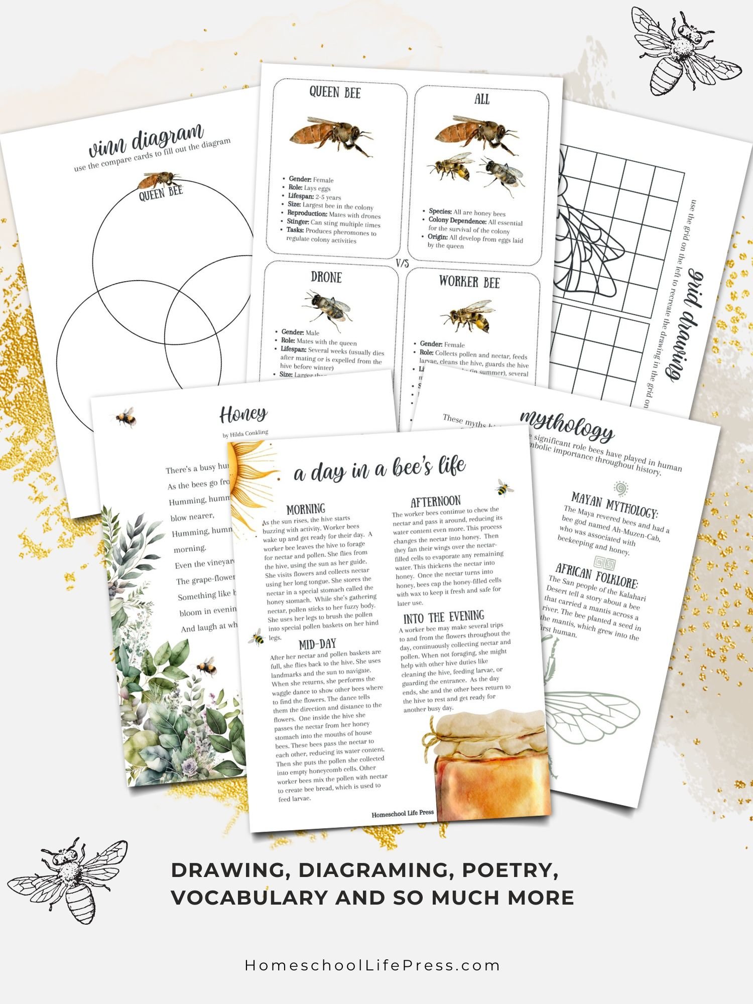Honey Bee Study product image (4)