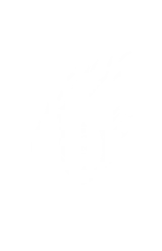 I Ignite music