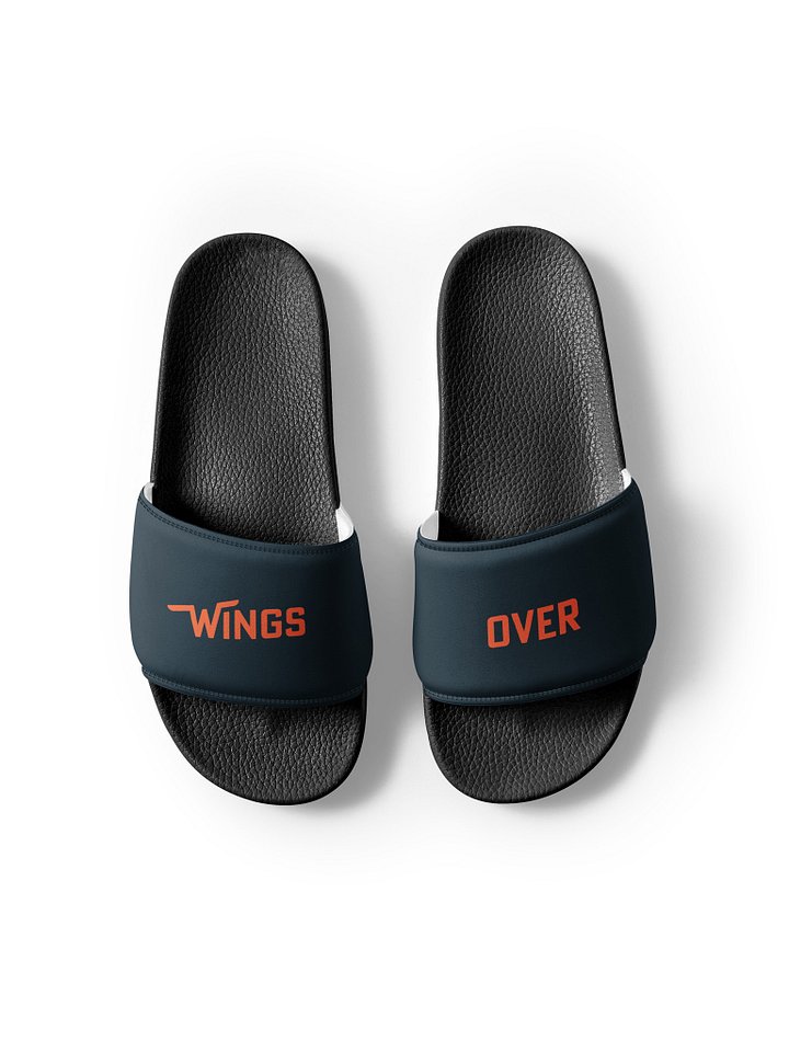Wings Over Slides product image (1)
