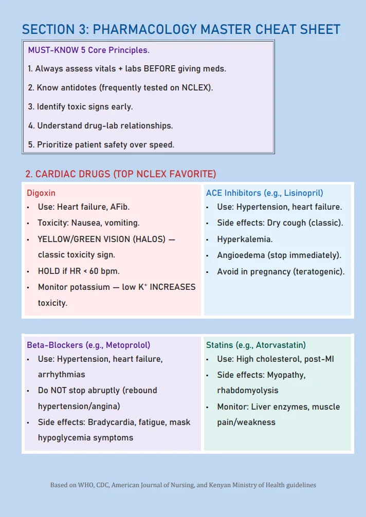 LIMEMBER: Nursing Guide + NCLEX Cheat Sheet Bundle product image (4)