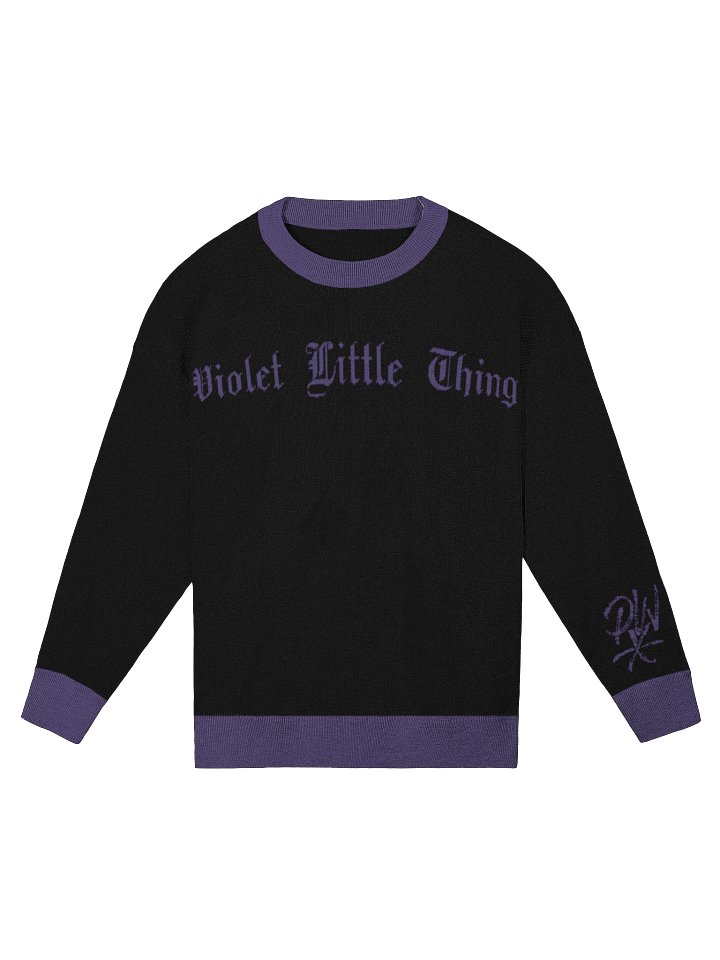 Violet Little Thing Relaxed Sweater product image (1)