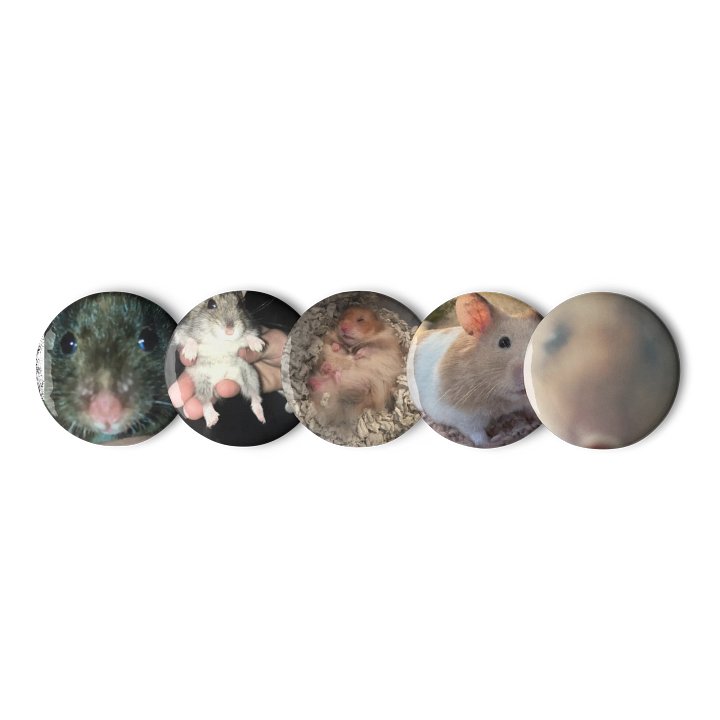 The 5 hamsters (kinda) product image (1)