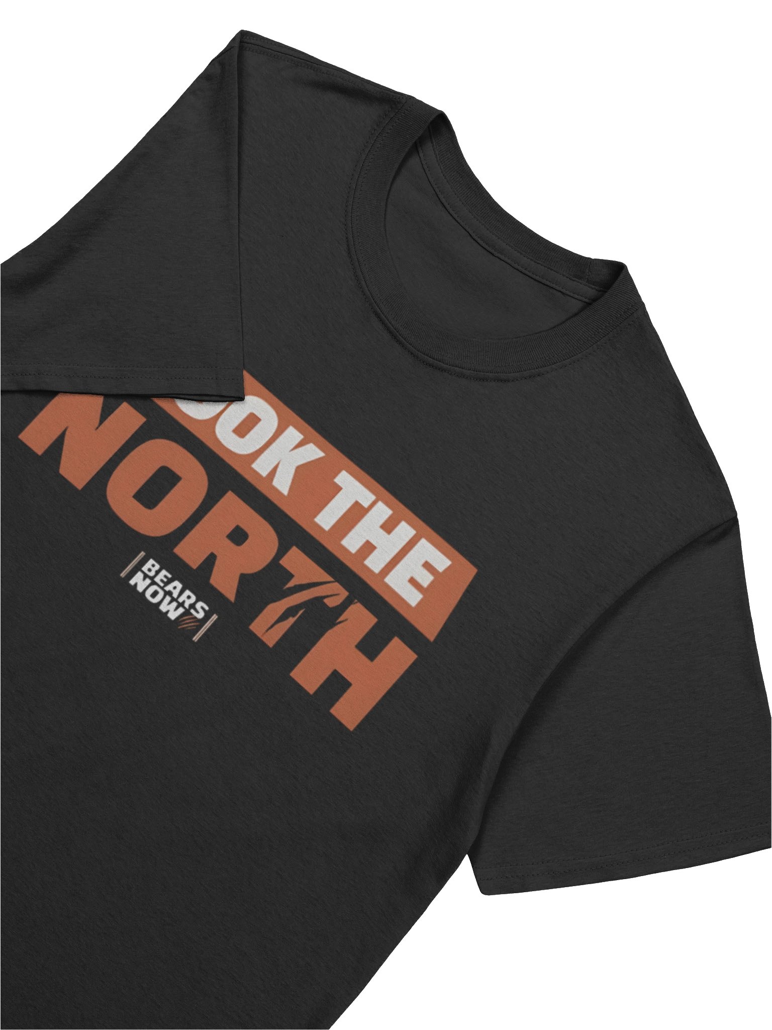 Chicago Bears North Champs 2025 - Took The North Shirt product image (5)