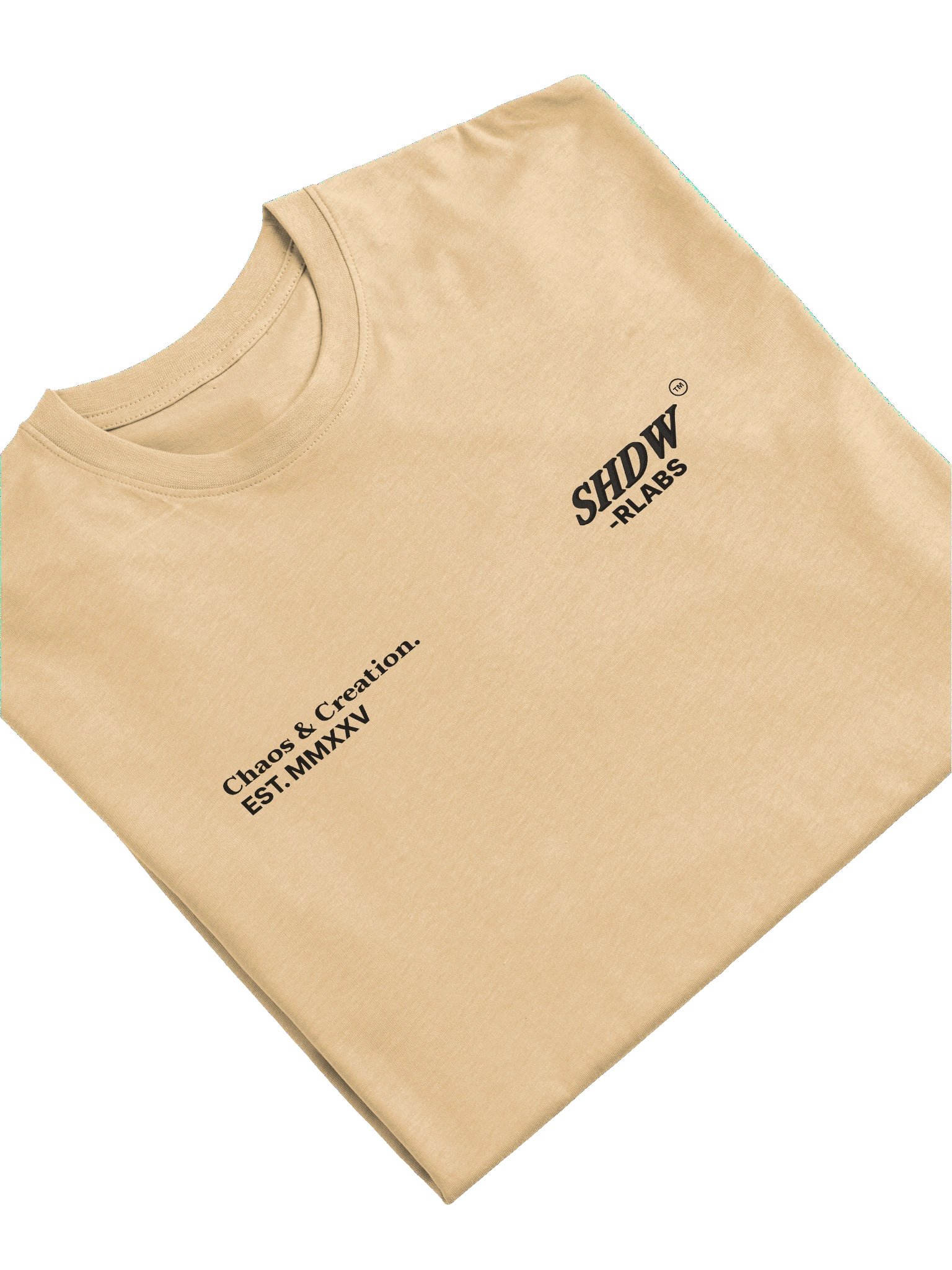 OVERSIZED TEE - SHDW LABS product image (3)