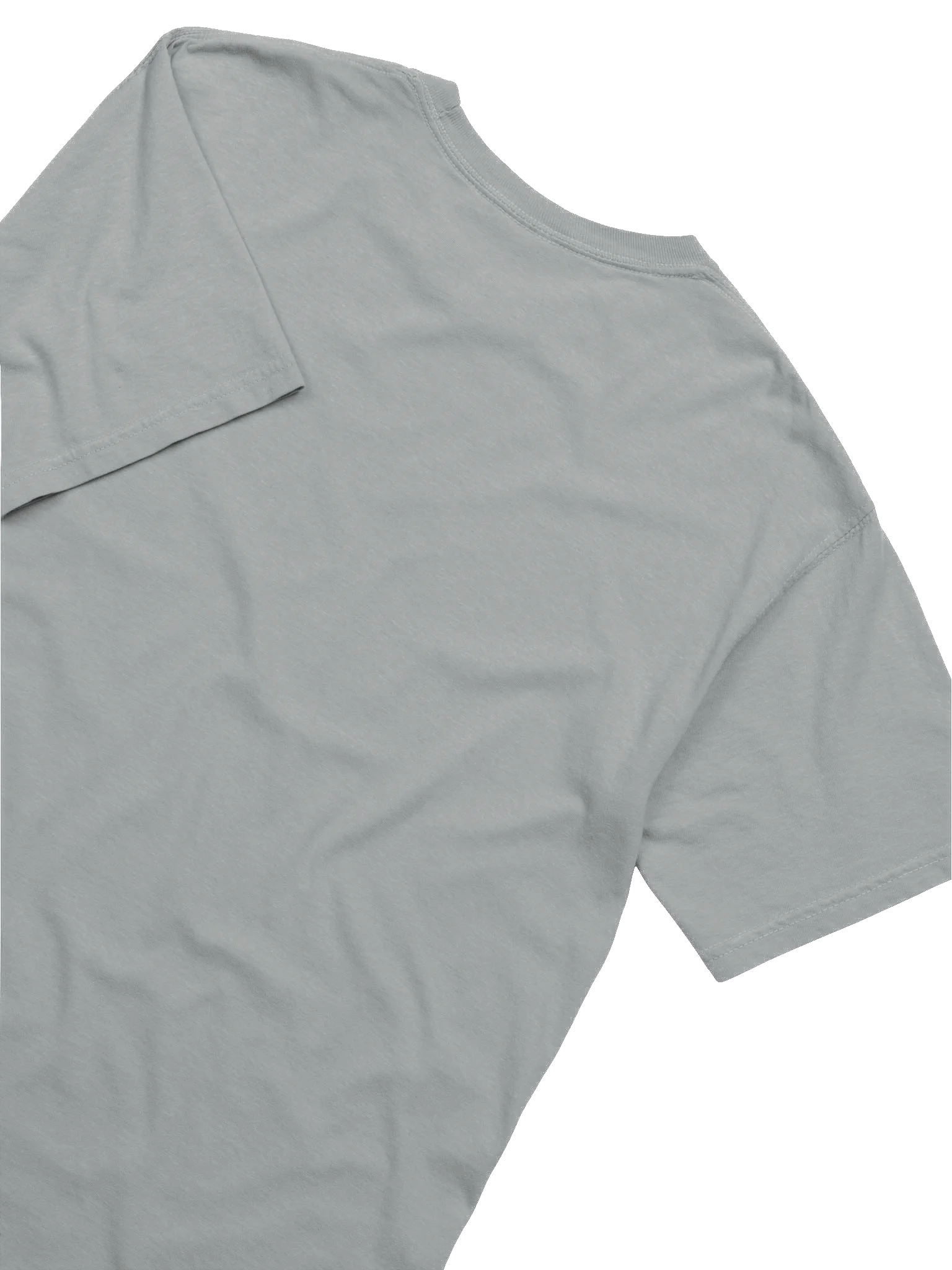Garden Bliss Heavyweight Tee Granite product image (4)