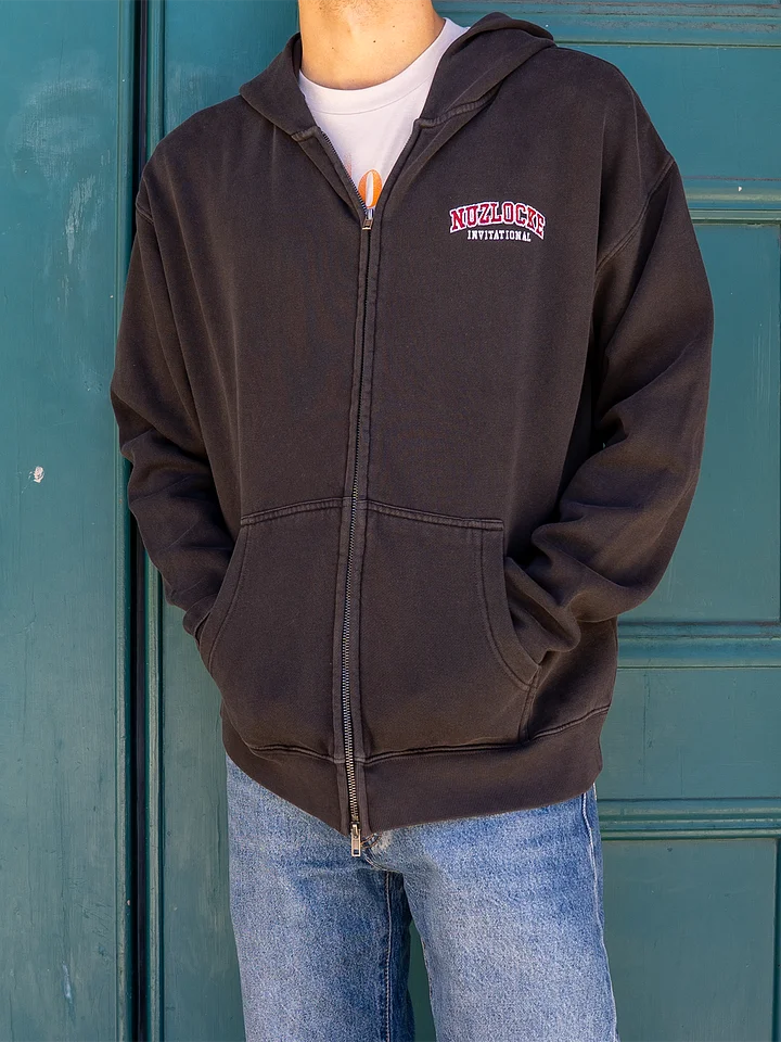 Collegiate Zip Hoodie product image (2)