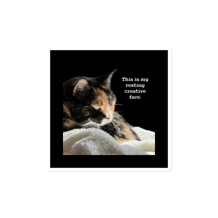 This is my resting creative face. Magnet product image (2)