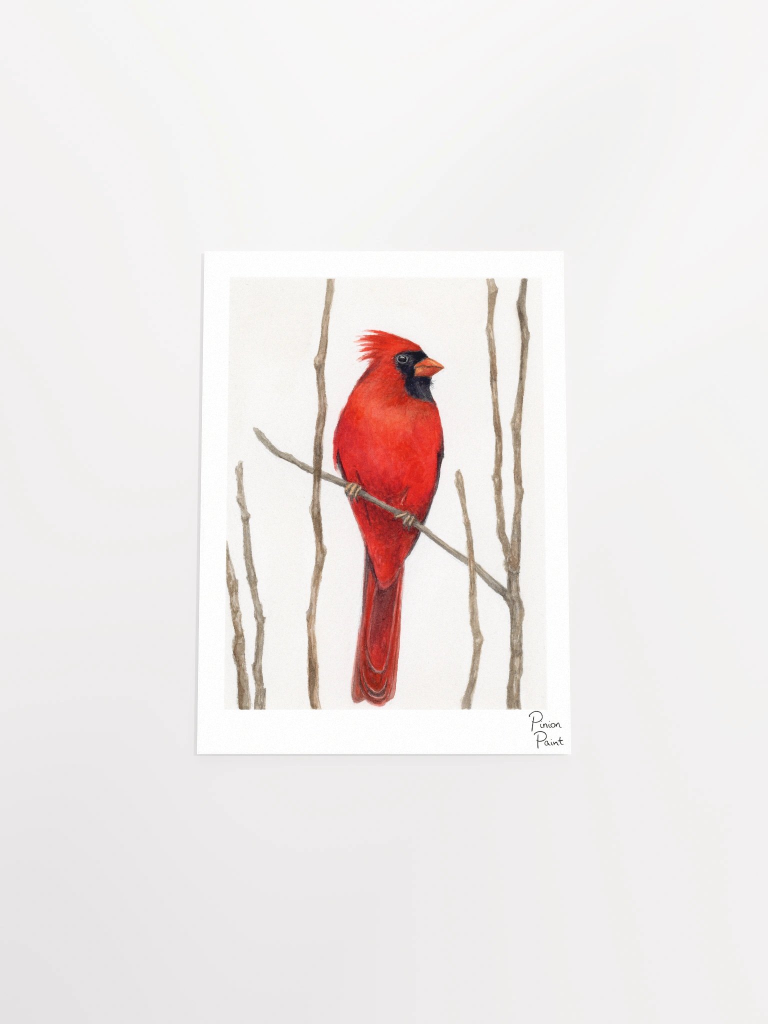 Cardinal print product image (7)