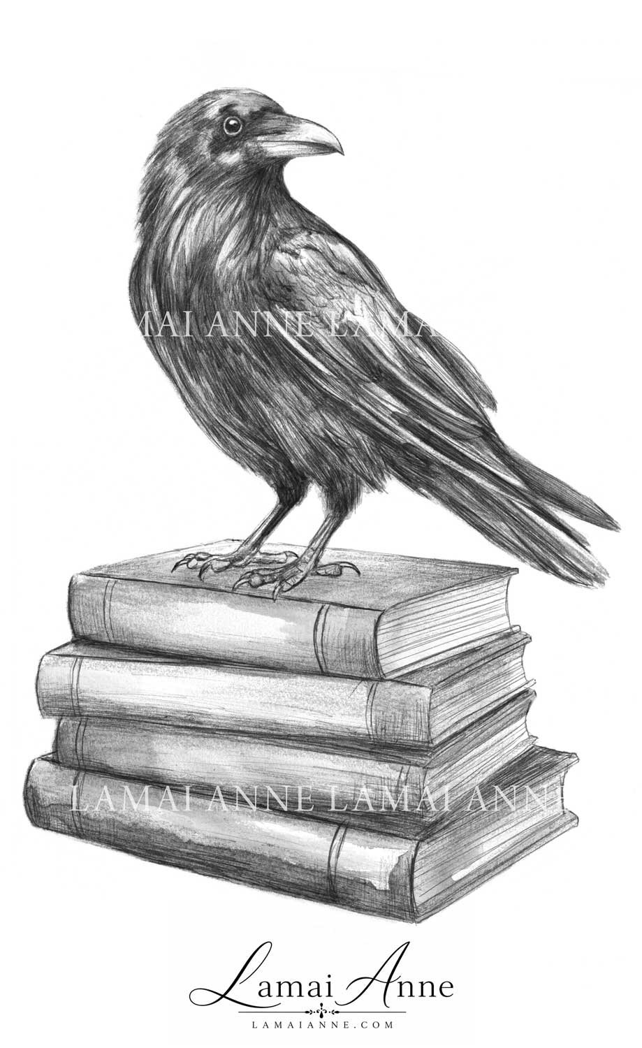 Raven on Books product image (1)
