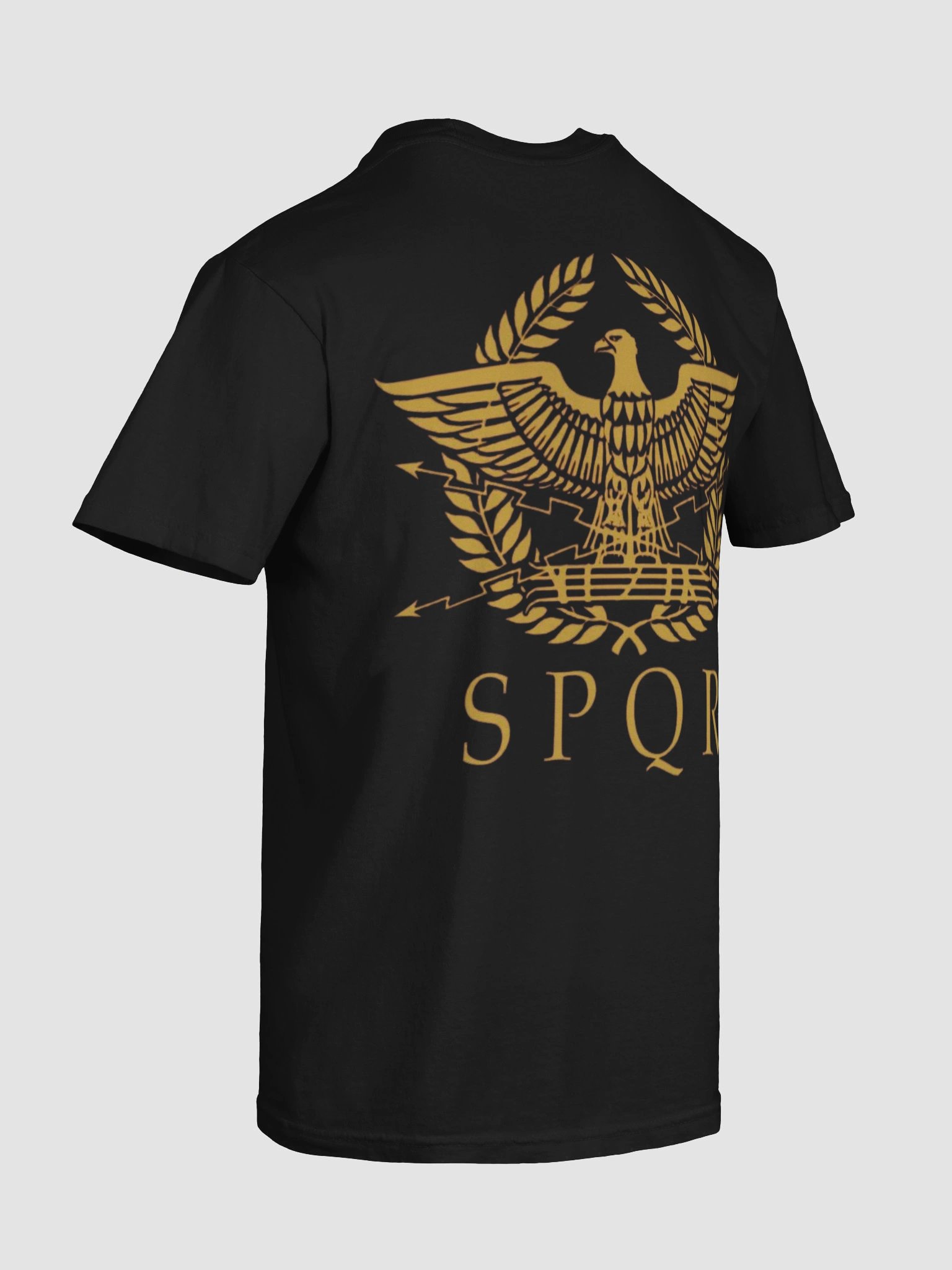 Rome Reborn product image (8)