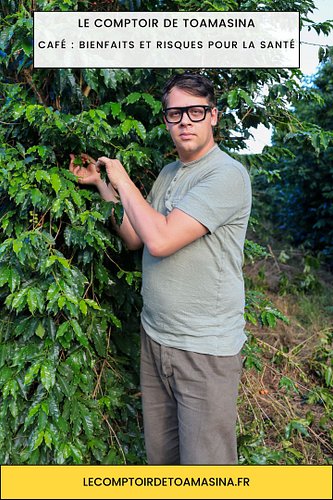 Le café fait partie de nos rituels universels, mais que sait-on vraiment de ses effets ? Richesse en polyphenóls, vigilance a...