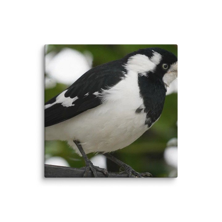 Bird Canvas product image (2)