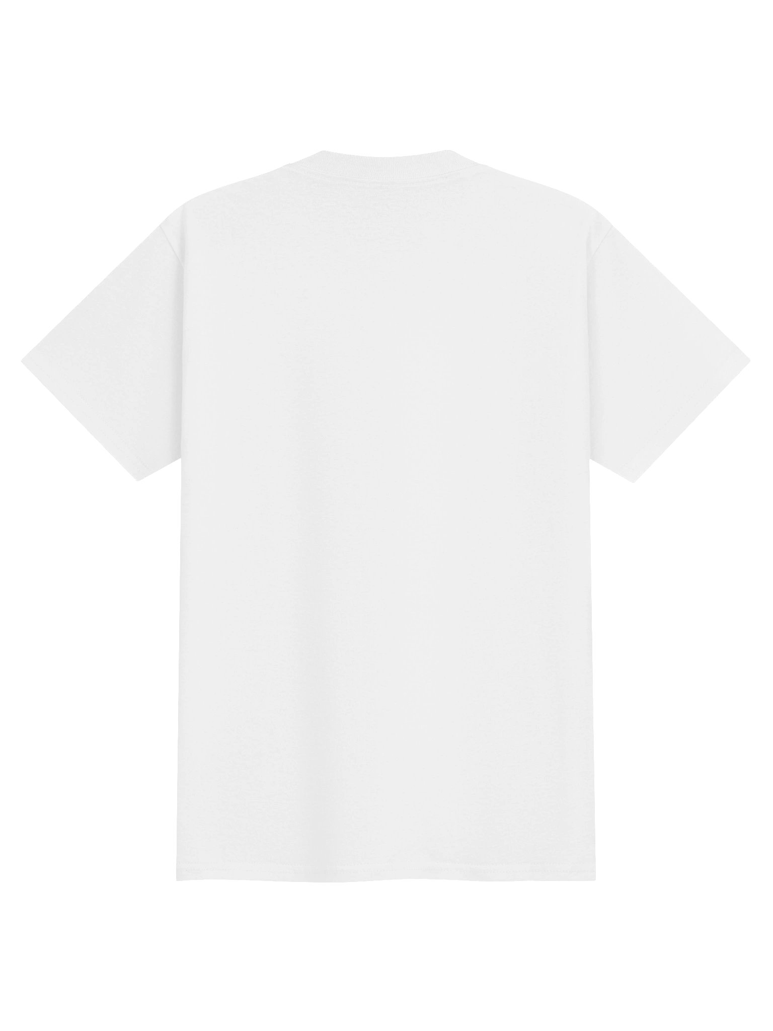 YOUTH Where Every Day is a New Day Tee - Gildan product image (2)