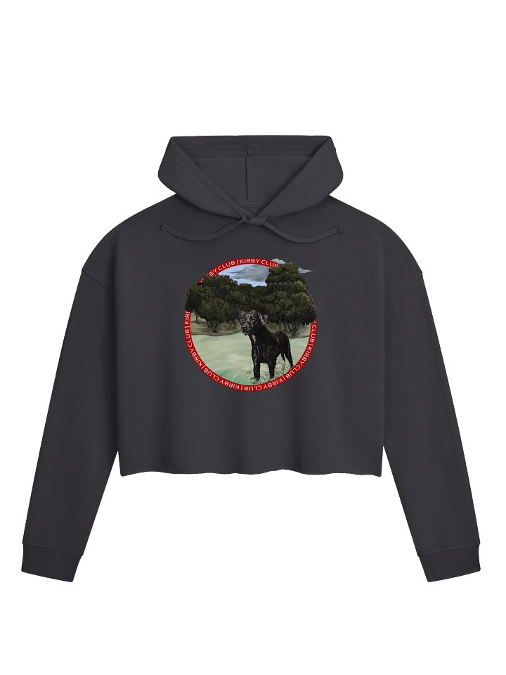 Kirby Club Crop Hoodie product image (5)