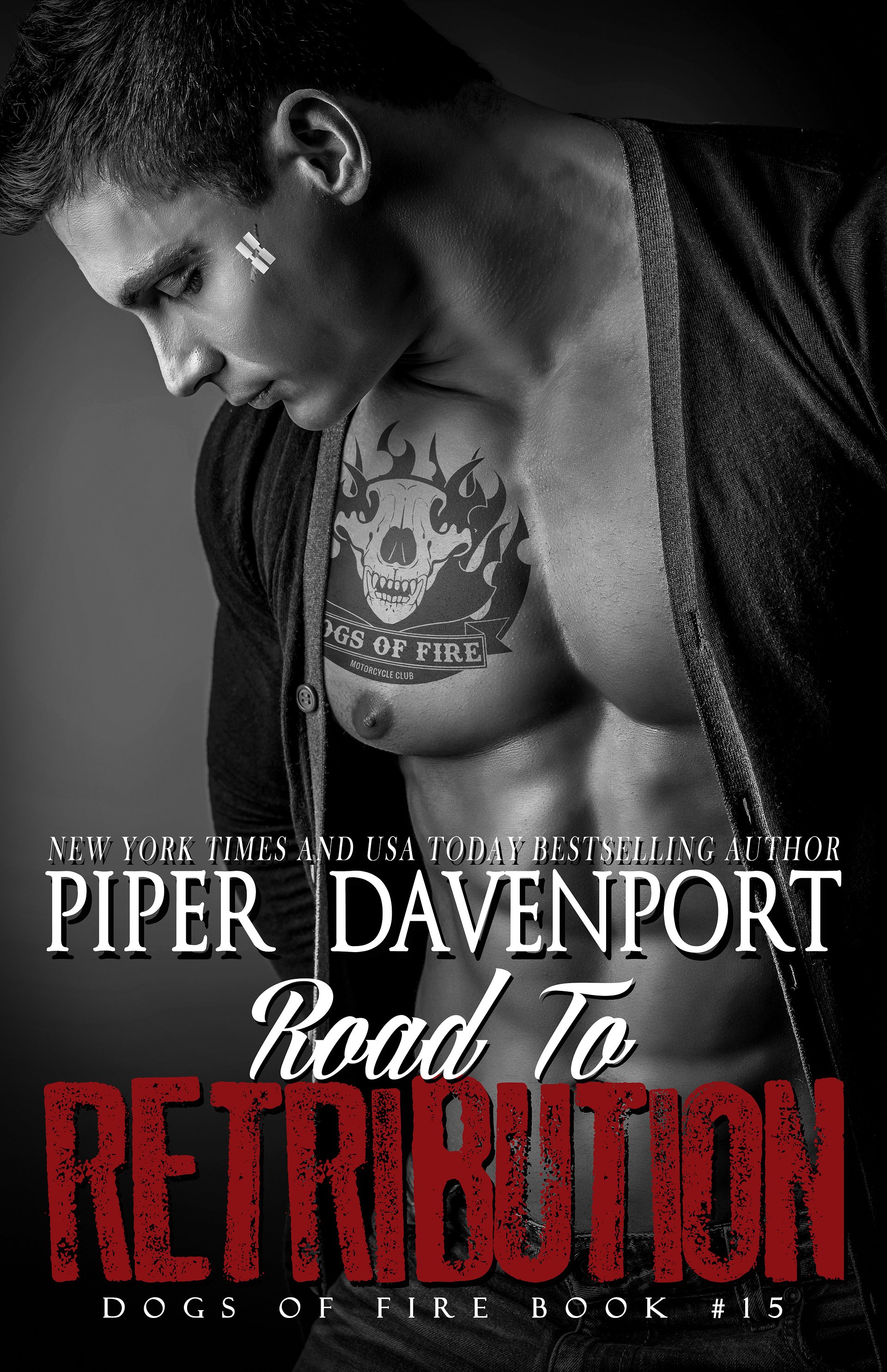 Road to Retribution, Dogs of Fire MC Series, Book #15 - COMING SOON! product image (1)