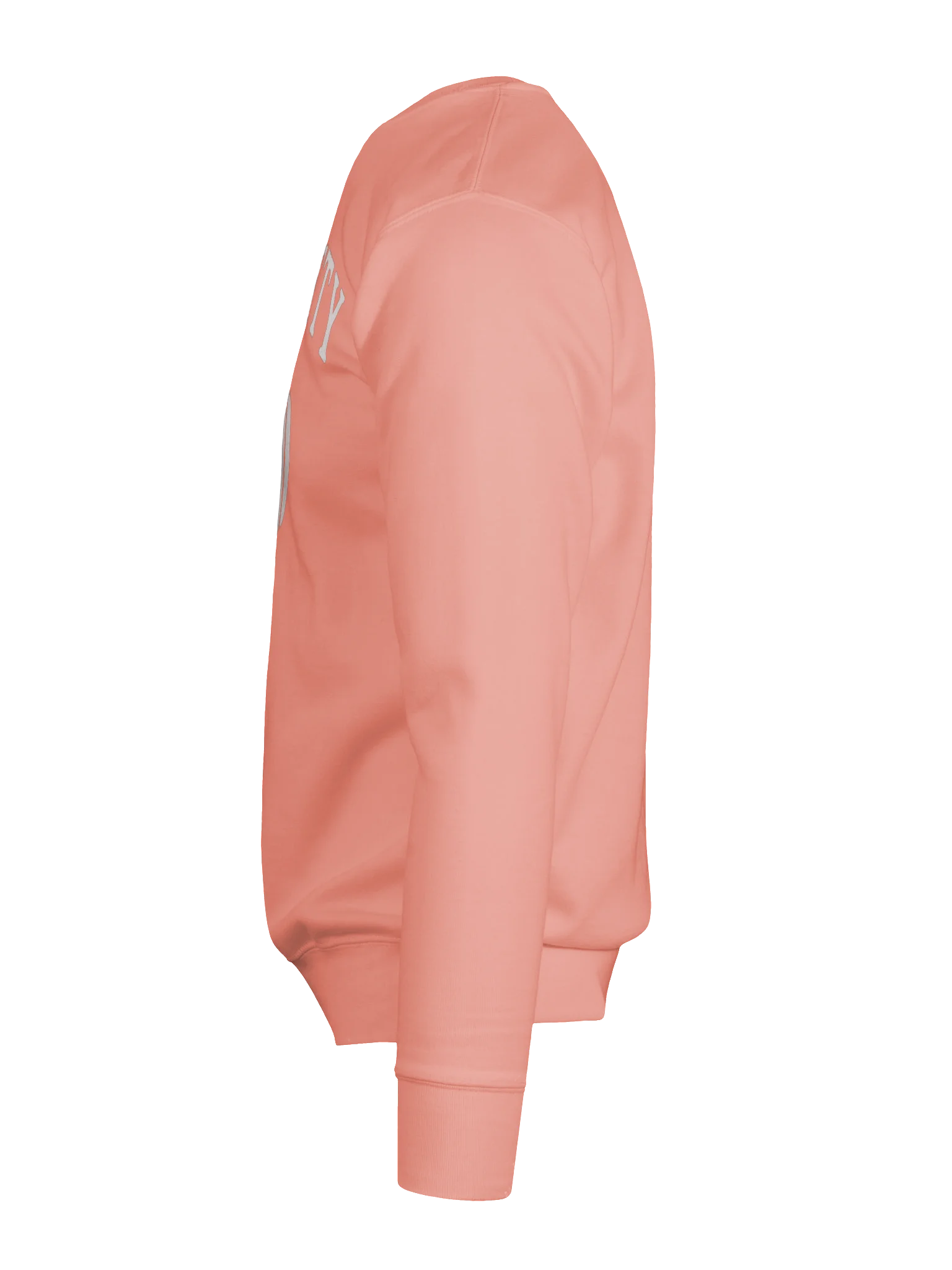 Chatty Pumpkin Premium Sweatshirt | Cozy Chatty Fall Collection product image (9)