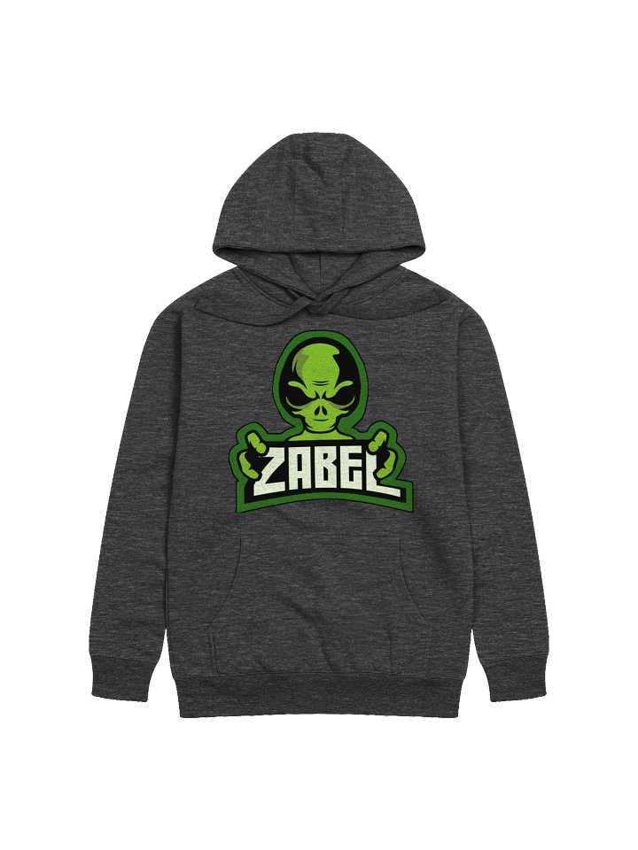 Big Zabel Logo Hoody product image (1)