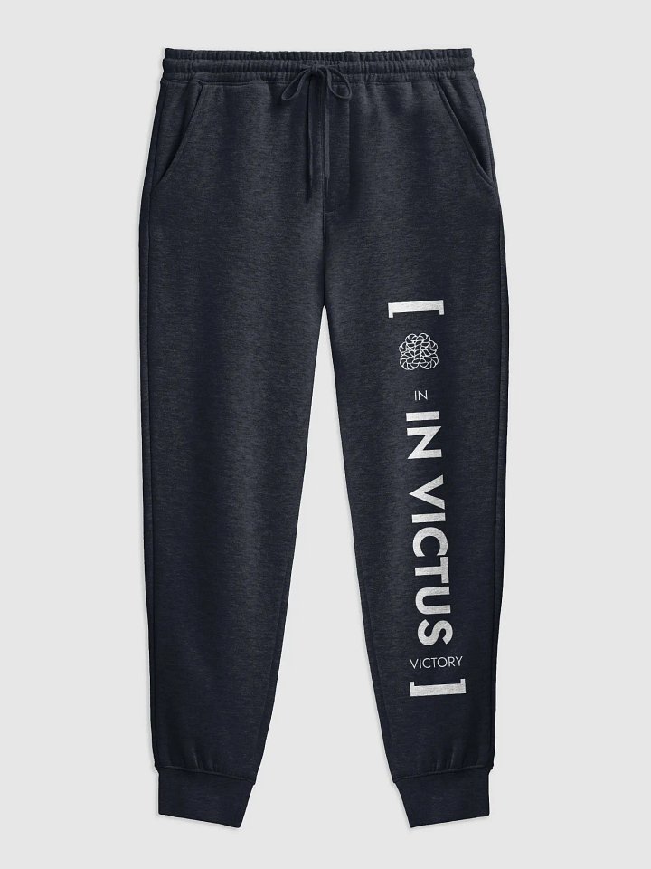 Unlock Style: The Zipper Anatomy Joggers product image (2)