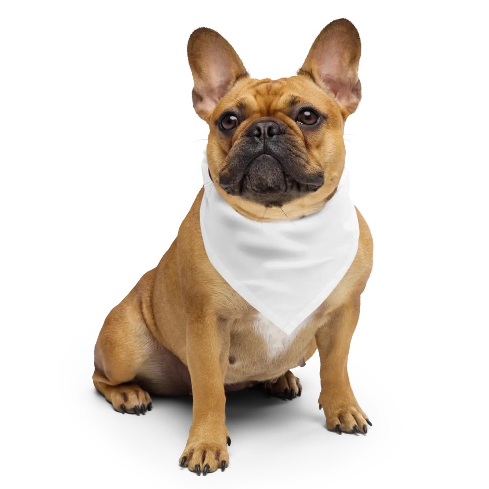 TDS Music All-Over Print Bandana - White - Music-Themed Design product image (5)