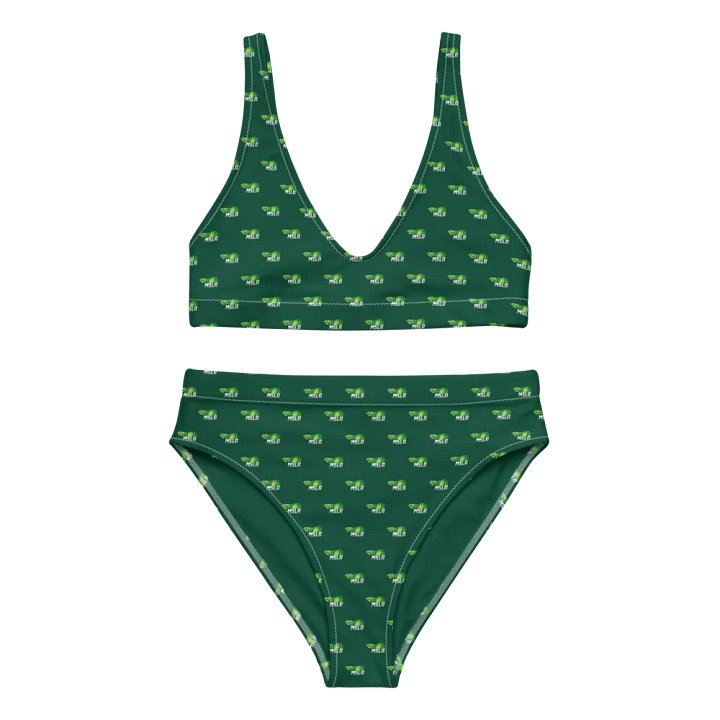 MSLA Green High Waisted Bikini product image (2)