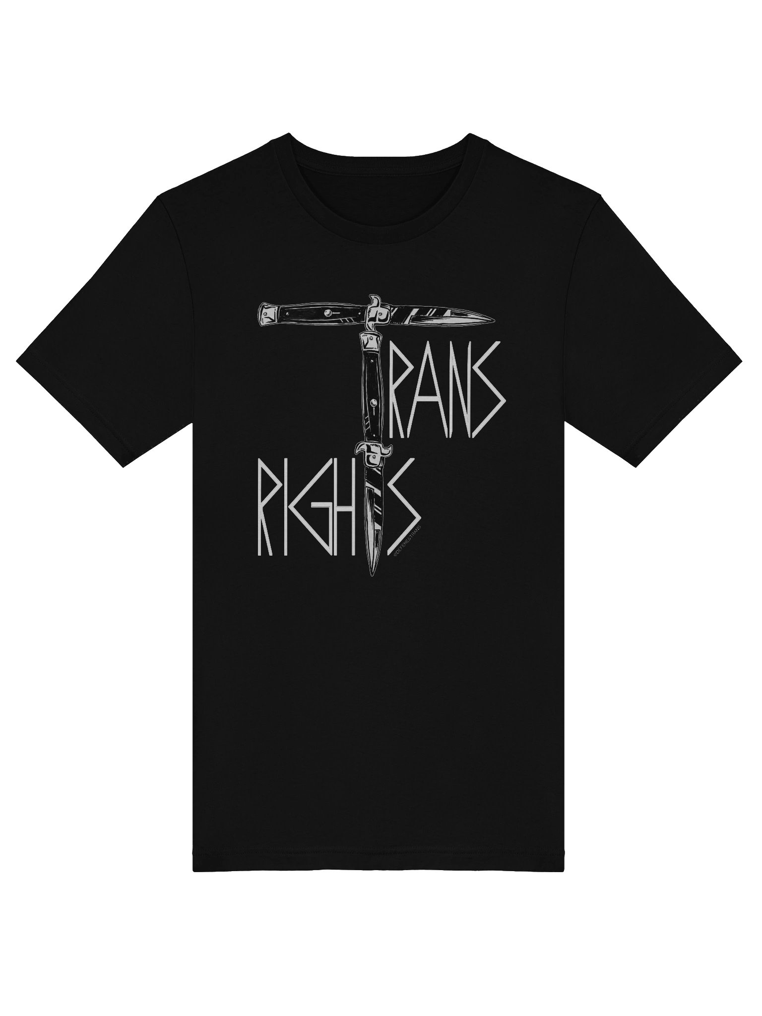 Trans Rights BC Tee product image (5)