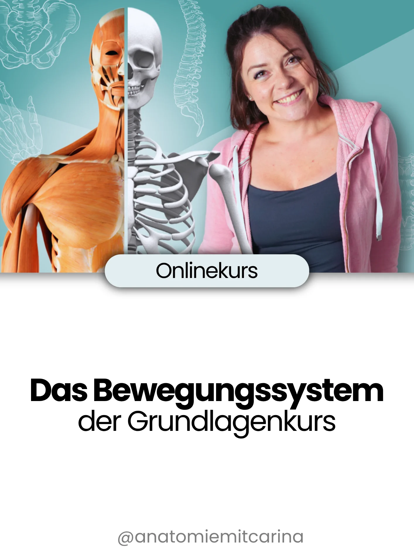 Das Bewegungssystem | der Grundlagenkurs product image (1)