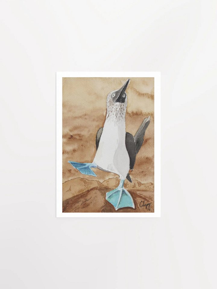 Blue Footed Booby Print product image (1)